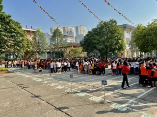 Hoạt động Đội