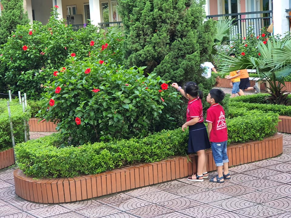 120771893 3106981062861724 6570431706145451240 n