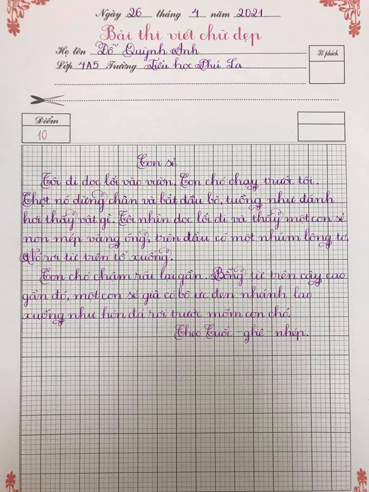 179357648 3287893404770488 2068785479694060441 n