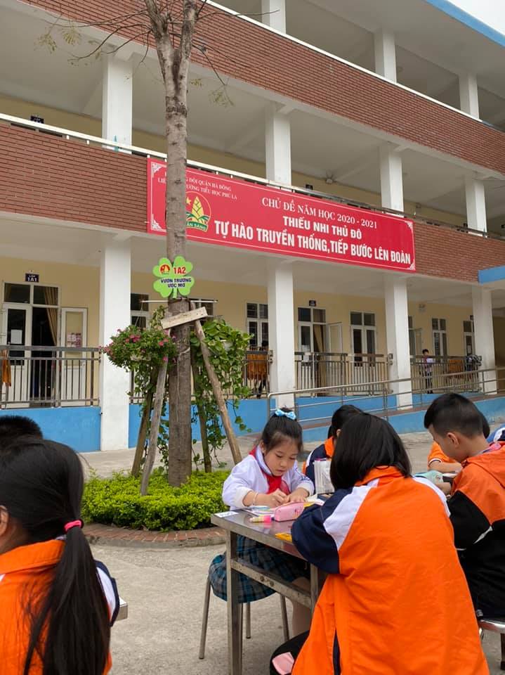 180009193 3287106608182501 5877874161062639580 n