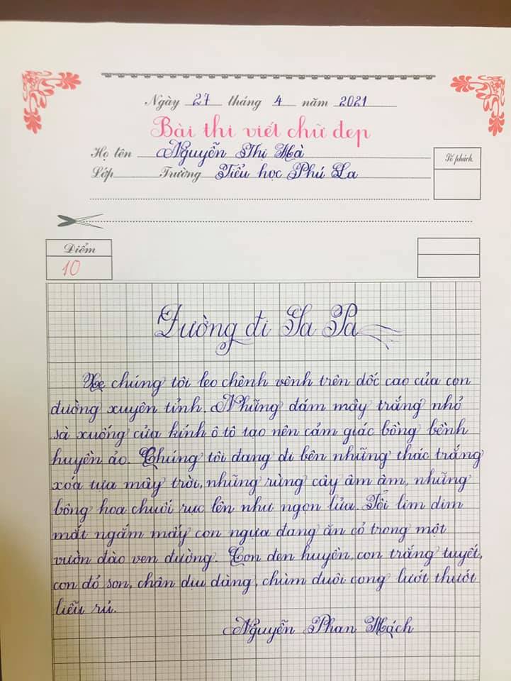 182701266 3290675197825642 8960340986978395417 n